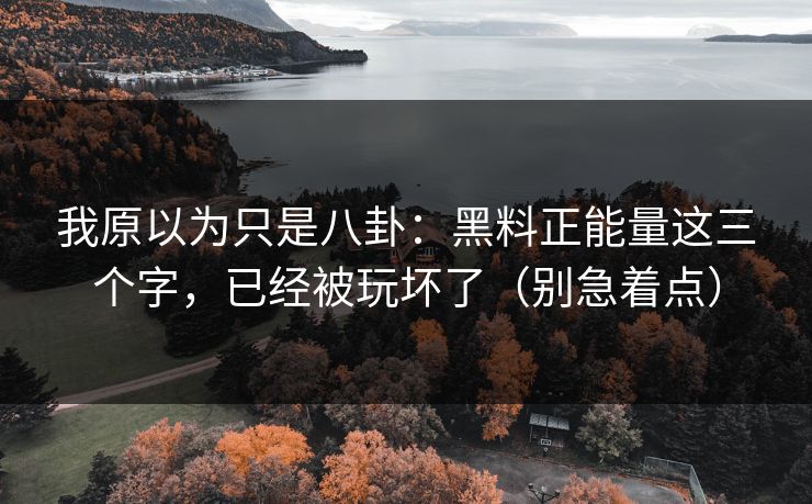 我原以为只是八卦：黑料正能量这三个字，已经被玩坏了（别急着点）