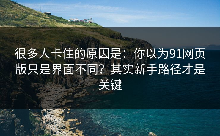 很多人卡住的原因是：你以为91网页版只是界面不同？其实新手路径才是关键