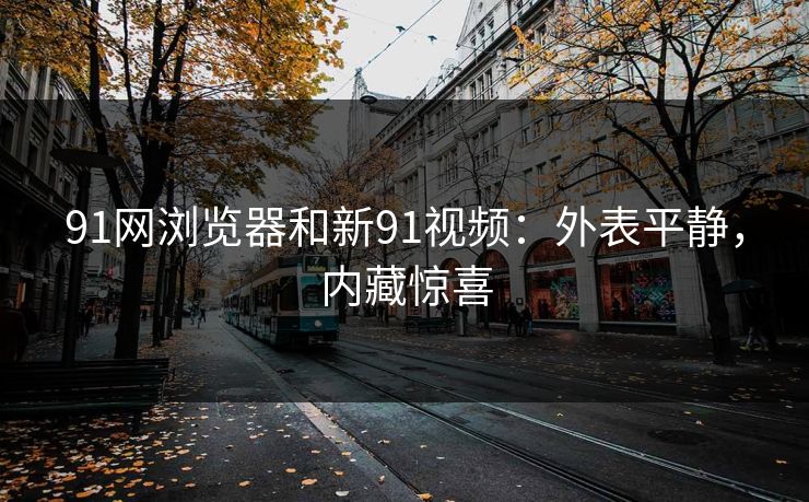 91网浏览器和新91视频:外表平静,内藏惊喜