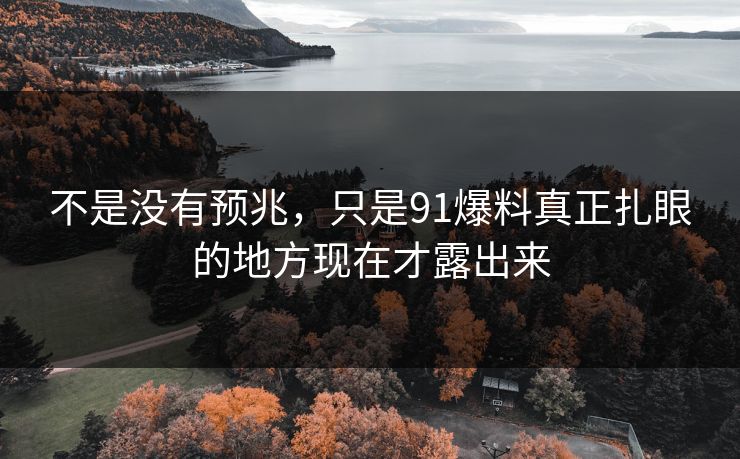 不是没有预兆，只是91爆料真正扎眼的地方现在才露出来
